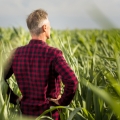 Dia do Agricultor – 28/07
