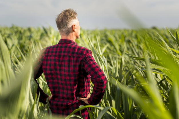 Dia do Agricultor – 28/07